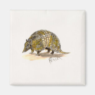 Armadillo Magnet