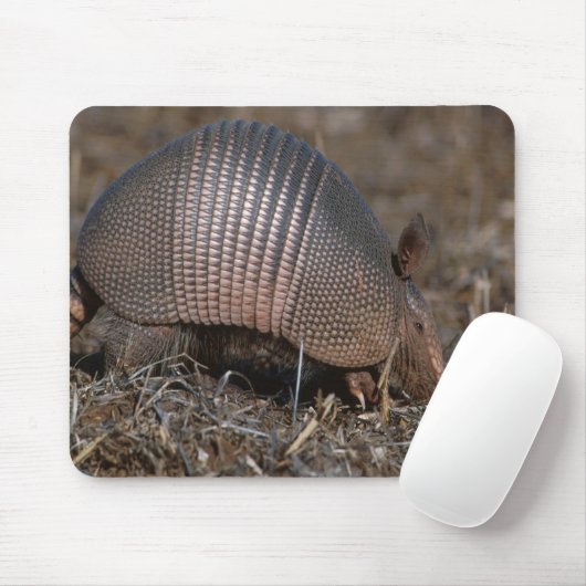 Armadillo Mousepad (Mit Mouse)