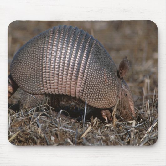 Armadillo Mousepad (Vorne)
