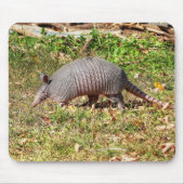 Armadillo Mousepad (Vorne)