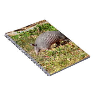 Armadillo Notizblock