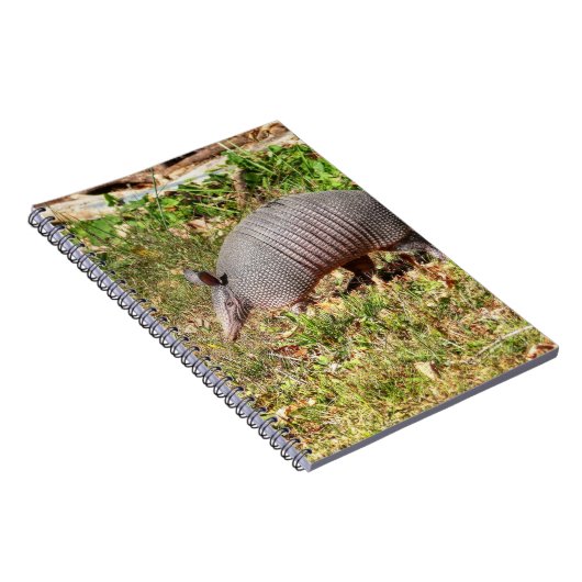 Armadillo Notizblock (Rechte Seite)