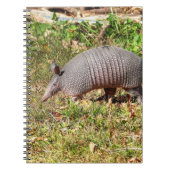 Armadillo Notizblock (Vorderseite)