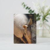 Armadillo Postcard Postkarte (Stehend Vorderseite)