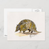 Armadillo Postcard Postkarte (Vorne/Hinten)