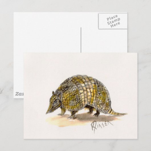 Armadillo Postcard Postkarte (Vorne/Hinten)