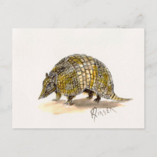Armadillo Postcard Postkarte