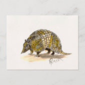 Armadillo Postcard Postkarte (Vorderseite)
