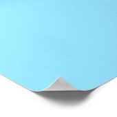 Armadillo Poster (Ecke)