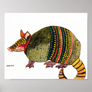 Armadillo Poster