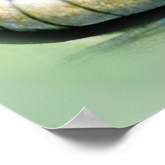 Armadillo Poster (Ecke)