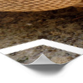 Armadillo Poster Print (Ecke)