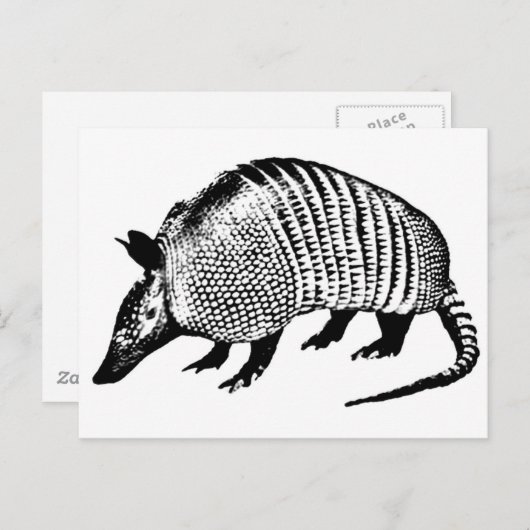 Armadillo Postkarte (Vorne/Hinten)