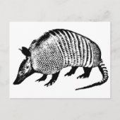 Armadillo Postkarte (Vorderseite)