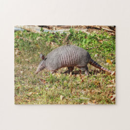 Armadillo Puzzle