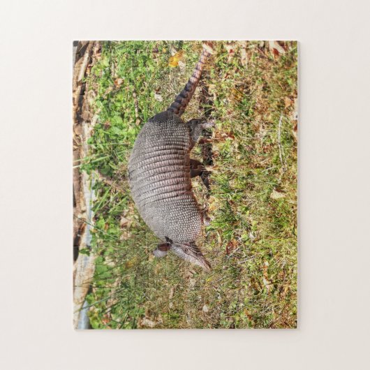 Armadillo Puzzle (Vertikal)