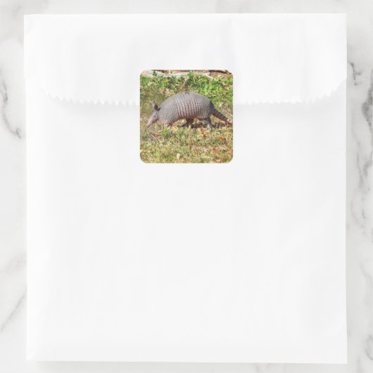 Armadillo Quadratischer Aufkleber (Tasche)