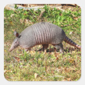 Armadillo Quadratischer Aufkleber (Vorderseite)