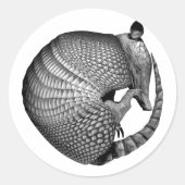 Armadillo Runder Aufkleber (Vorderseite)