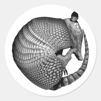 Armadillo Runder Aufkleber