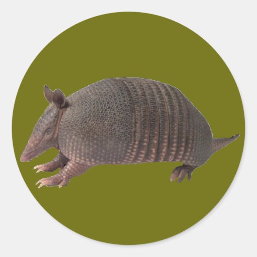 Armadillo schlicht runder aufkleber (Vorderseite)