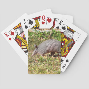 Armadillo Spielkarten
