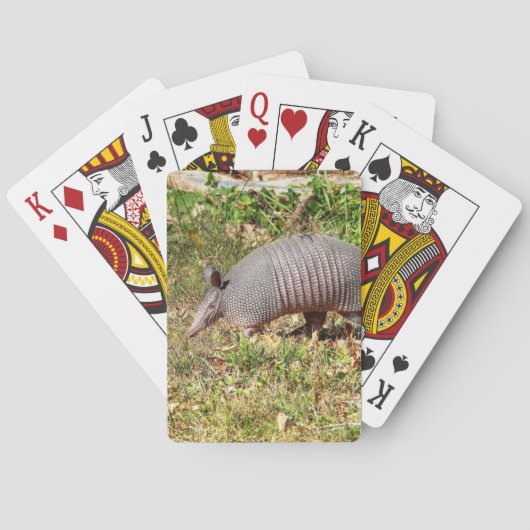 Armadillo Spielkarten (Rückseite)