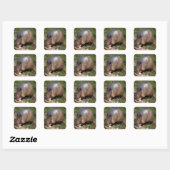 Armadillo Stickers (Blatt)