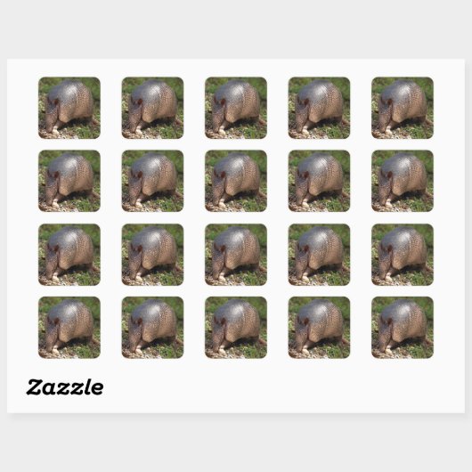 Armadillo Stickers (Blatt)