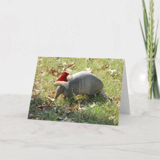 Armadillo Weihnachtskarte Feiertagskarte (Vorderseite)