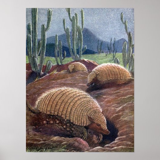 Armadillos von Louis Sargent, Vintage Wildtiere Poster (Vorne)