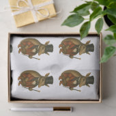 Armand, armadillo ringmaster seidenpapier (Geschenk)