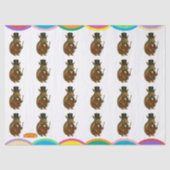 Armand, armadillo ringmaster seidenpapier (Vorderseite)