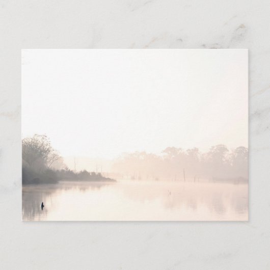 Armand Bayou fog Postkarte (Vorderseite)
