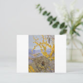 Armed Bird's Nest in Acacia Bush, Chile von Marian Postkarte (Stehend Vorderseite)