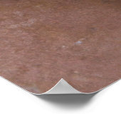 Armenian Gampr - Dog Portrait Poster (Ecke)