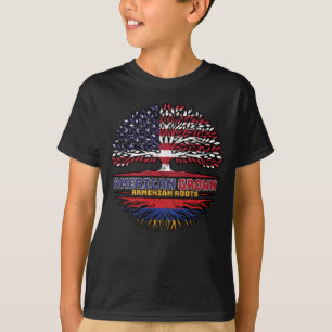 Armenien Armenien USA USA USA Vereinigte Staaten T-Shirt