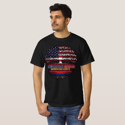 Armenien Armenien USA USA USA Vereinigte Staaten T-Shirt (Vorne ganz)