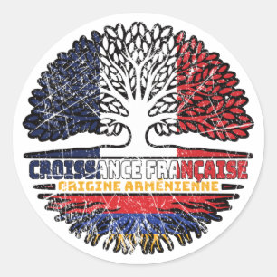 Armenisch-Armenisch-Französisch-Baumwurzelflagge Runder Aufkleber