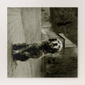 Armer Hund Gewartet Puzzle (Horizontal)