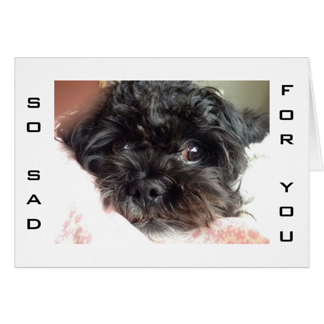 ARMER HUND IST SO SAD U R TURNING 40 (Vorderseite (Horizontal))