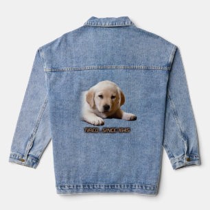 Armer, müde kleiner Labrador-Welpe. So wie ich! Jeansjacke