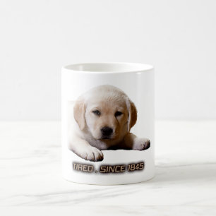 Armer, müde kleiner Labrador-Welpe. So wie ich! Kaffeetasse