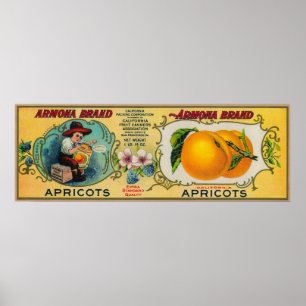 Armona Apricot Label Poster