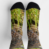 Armored Ambler: Der geheime Spaziergang des Shingl Socken (Oben)