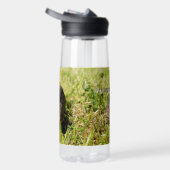 Armored Ambler: Der geheime Spaziergang des Shingl Trinkflasche (Rechts)