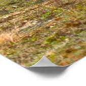 ARMORED PERSONNEL CARRIER - Stryker Poster (Ecke)