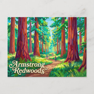 Armstrong Redwoods State Natural Reserve Postkarte