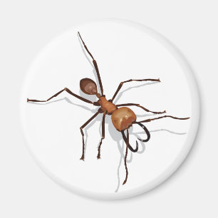 Army Ant Magnet