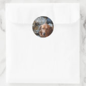 Army Dog Stickers (Tasche)